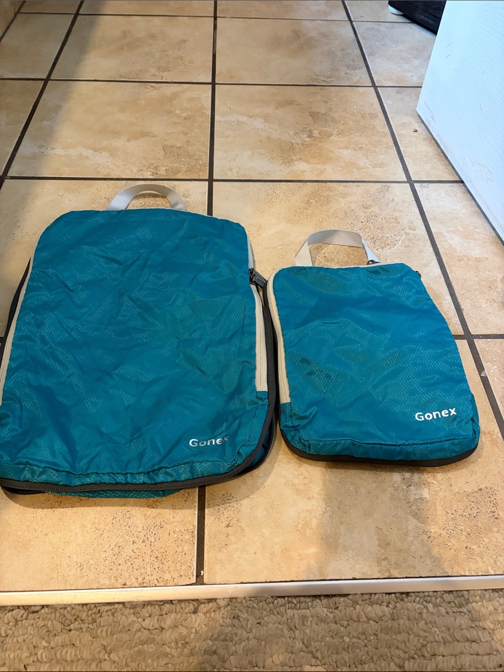 Gonex Teal Travel Packing Cube Set - 2-Piece Organizer